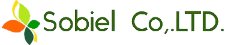 株式会社ソビエル